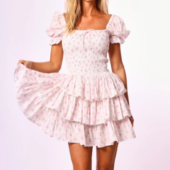 Amy Jane London Dresses & Skirts - NEW Amy Jane London Rosa Floral Mini Dress – Pink Rosebud Gingham, NWT